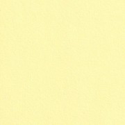 Pastellpapier Velour 260g/m² 50 x 70cm gelb