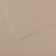 Canson Mi-Teintes Papier 160g/m² 50 x 65 cm 122 Grau