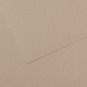 Canson Mi-Teintes Papier 160g/m² 50 x 65 cm 122 Grau