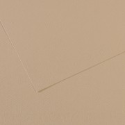 Canson Mi-Teintes Papier 160g/m² 50 x 65 cm 343 Hellgrau