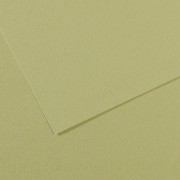 Canson Mi-Teintes Papier 160g/m² 50 x 65 cm 480 Hellgrün