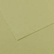 Canson Mi-Teintes Papier 160g/m² 50 x 65 cm 480 Hellgrün