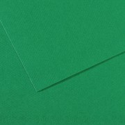 Canson Mi-Teintes Papier 160g/m² 50 x 65 cm 575 Grasgrün
