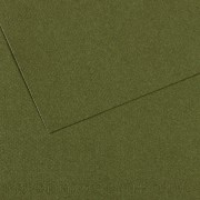 Canson Mi-Teintes Papier 160g/m² 50 x 65 cm 448 Dunkelgrün