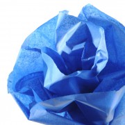 Canson Seidenpapierrolle 20g/m² 50cm x 5m blau