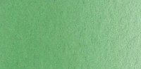 Lukas 1862 Aquarellfarben 1/2N 1163 PG 2 - Permanentgrün