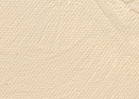 Tucolor Künstler Acrylfarbe 250ml Altweiß