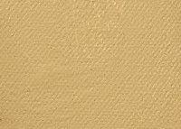 Tucolor Künstler Acrylfarbe 250ml Beige
