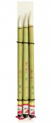 AMI China Pinsel Set 22008