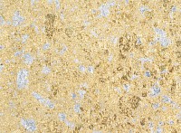 Schlagmetall Abburstig Mix Gold 2,5  12g