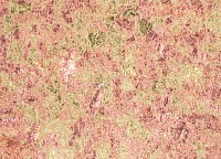 Schlagmetall Abburstig Abendrot  12g