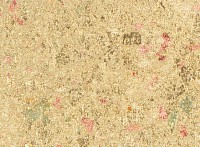 Schlagmetall Abburstig gefl. Gelb  8g