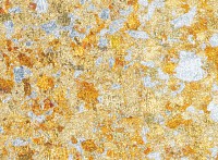 Schlagmetall Abburstig gefl. Mix Licht  8g