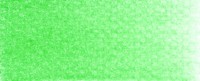 PanPastel 9ml 26405 Permanentgrün