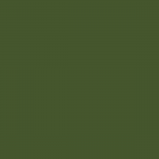 Amsterdam Acrylfarbe 20ml 17046220 Olivgrün dunkel