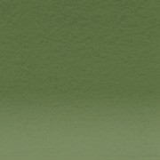Derwent Pastel Pencil P520-Dark Olive 212300281