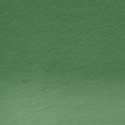 Derwent Procolour Pencil 48-Cedar Green 212302480