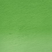 Derwent Procolour Pencil 51-Foliage 212302483