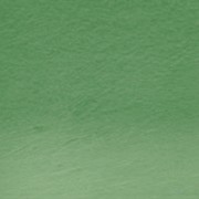 Derwent Procolour Pencil 42-Spruce Green 212302474