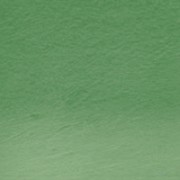 Derwent Procolour Pencil 42-Spruce Green 212302474