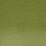 Derwent Tinted Charcoal TC16-Dark Moss 212301680