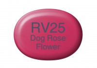 COPIC Marker Sketch RV25 Dog Rpse Flower