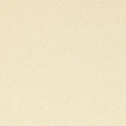 Pflanzenschaum mittelporig 10mm 25x50cm beige