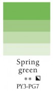 Charbonnel Kupferdruckfarbe 200ml PG 4 - Frühlingsgrün