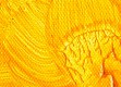Tucolor Künstler Acrylfarbe 500ml Indischgelb