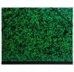 Zeichenmappe Annonay grün-schwarz  32 x 45 cm