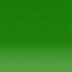 Derwent Artist Pencil 4900-Sap Green, 213204900