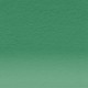 Derwent Pastel Pencil P410-Forest Green 212300270