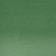 Derwent Procolour Pencil 48-Cedar Green 212302480