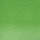 Derwent Procolour Pencil 51-Foliage 212302483