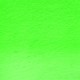 Derwent Procolour Pencil 49-Grass Green 212302481