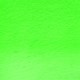 Derwent Procolour Pencil 49-Grass Green 212302481