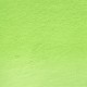 Derwent Procolour Pencil 45-Light Moss 212302477