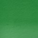 Derwent Procolour Pencil 46-Sap Green 212302478