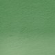 Derwent Procolour Pencil 42-Spruce Green 212302474