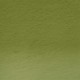 Derwent Tinted Charcoal TC16-Dark Moss 212301680