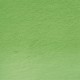 Derwent Tinted Charcoal TC15-Green Moss 212301679