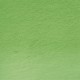 Derwent Tinted Charcoal TC15-Green Moss 212301679