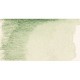 Caran d`Ache Supracolor Soft Aquarelle Moosgrün