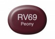 COPIC Marker Sketch RV69 Penoy