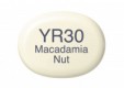 COPIC Marker Sketch YR30 Macadamia Nut