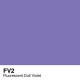 COPIC Ink 12ml FV2 Fluorescent Dull Violet
