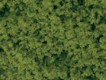Auhagen Schaumflocken hellgrün fein 400ml